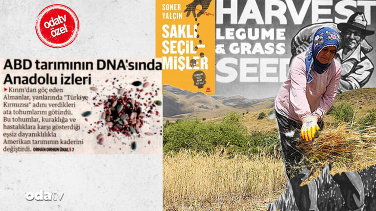 yeni-safak-basari-dedi-ama-milli-guvenlik-meselesi-bu-bir-sakli-secilmisler-haberidir-GOkyRtrO.jpg
