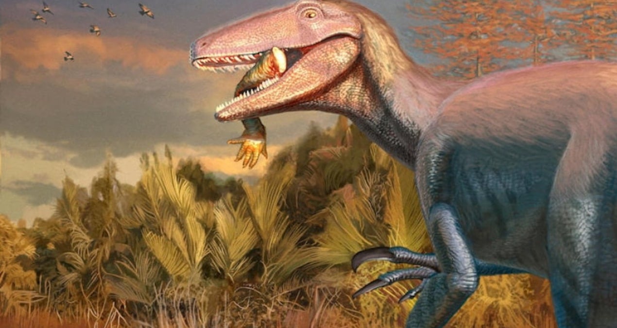 jurassic-park-filmlerinden-firlamis-gibi-yeni-tur-agzindaki-son-yemegi-ile-bulundu-Z9nsutMD.jpg