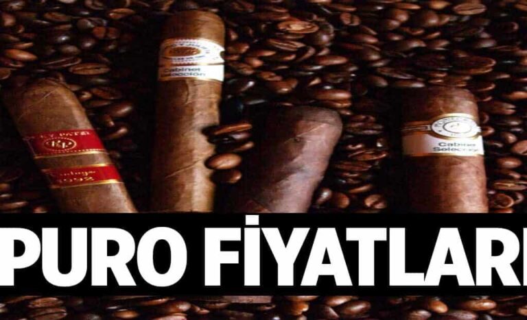 Puro Fiyatlari 1024x622Y2h.jpg